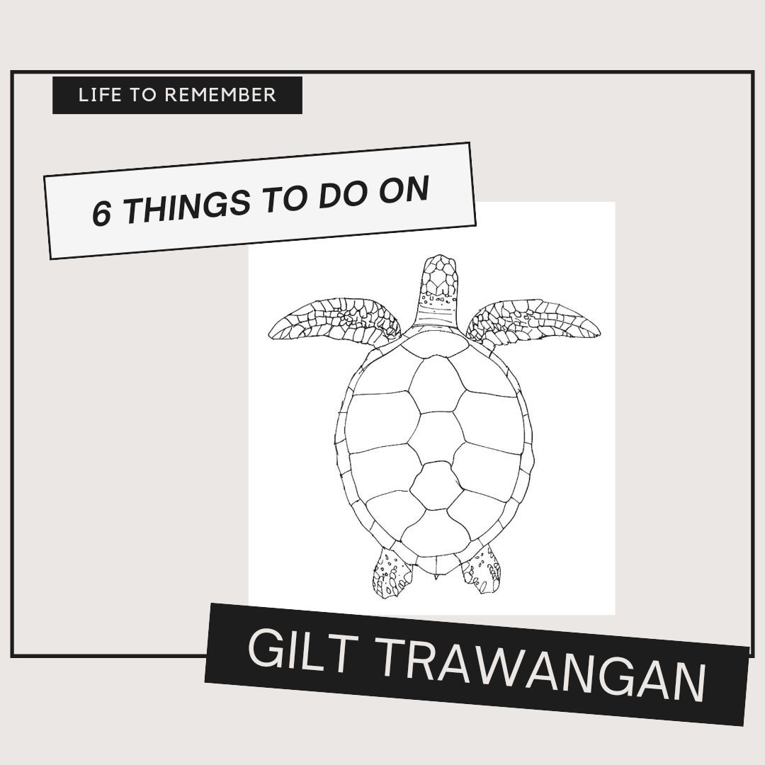 8 top things to do in gili trawangan