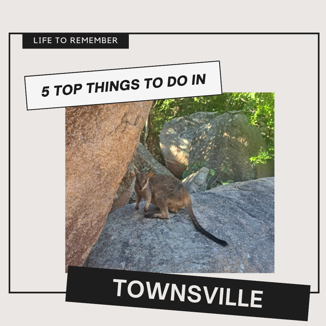 townsville, townsville australia, townsville queensland, things to do in townsville, townsville aesthetic, australia summer, australia vibes, australia aesthetic