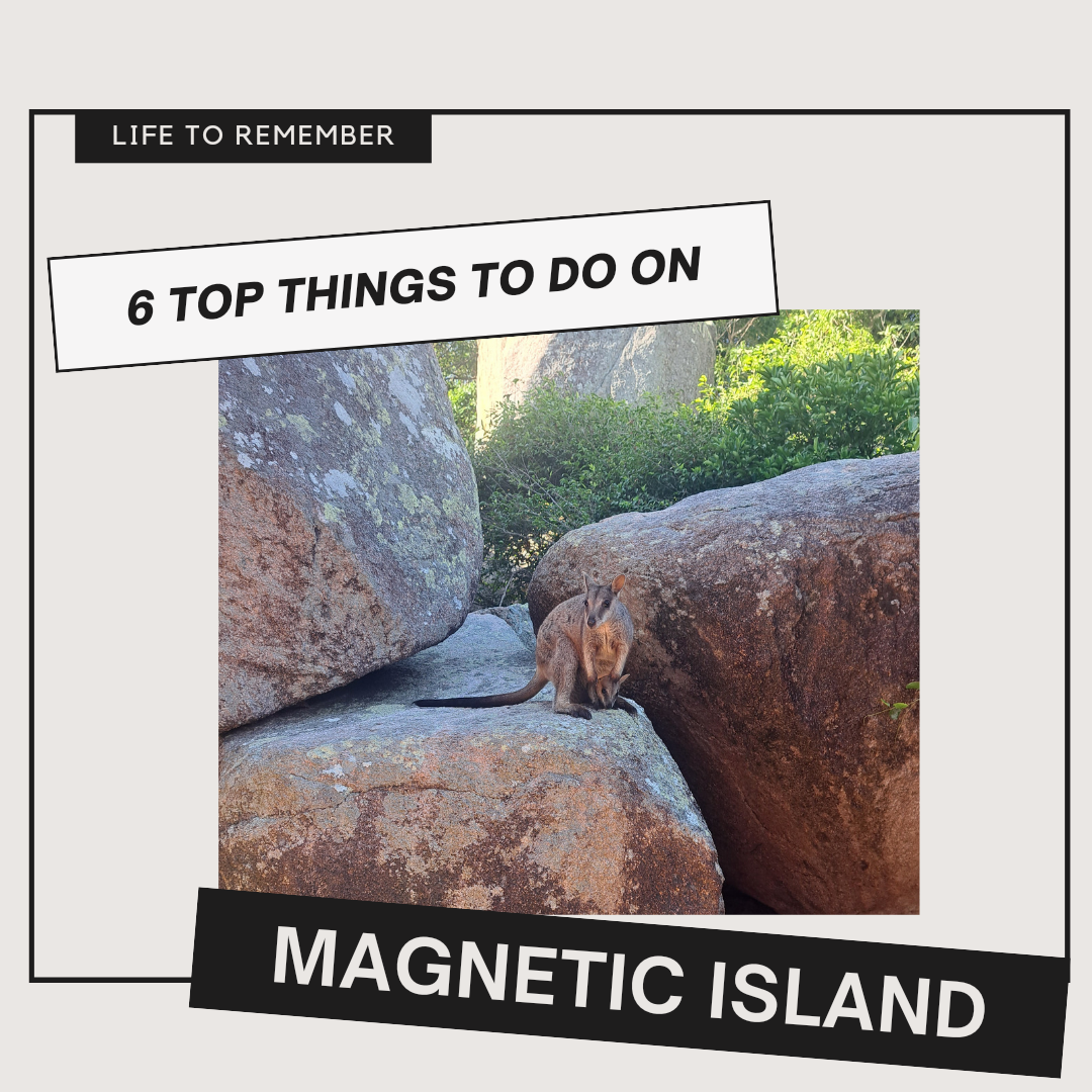 magnetic island, magnetic island qld, magnetic island australia, magnetic island aesthetic, magnetic island barbie car, magnetic island wedding, magnetic island townsville, magnetic island koala, magnetic island itinery, magnstic island map