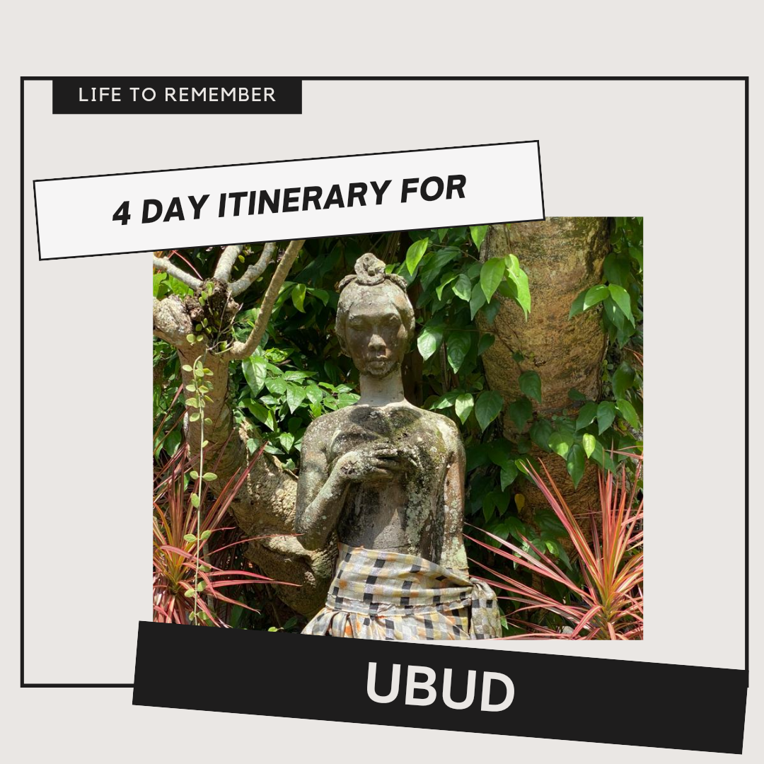 ubud itinerary, ubud guide, ubud bali, bali indonesia, bali nature, ubud bali aesthetic, bali aesthetic, bali vibes aesthetic